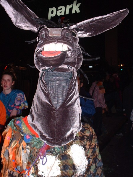 D_donkey.jpg